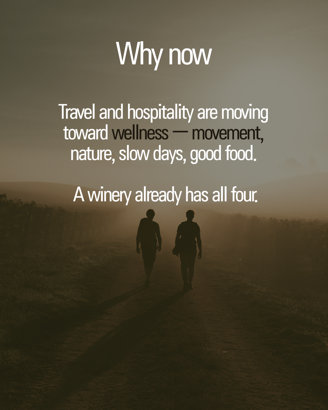 Two people walking a rural path through vineyards at sunrise.